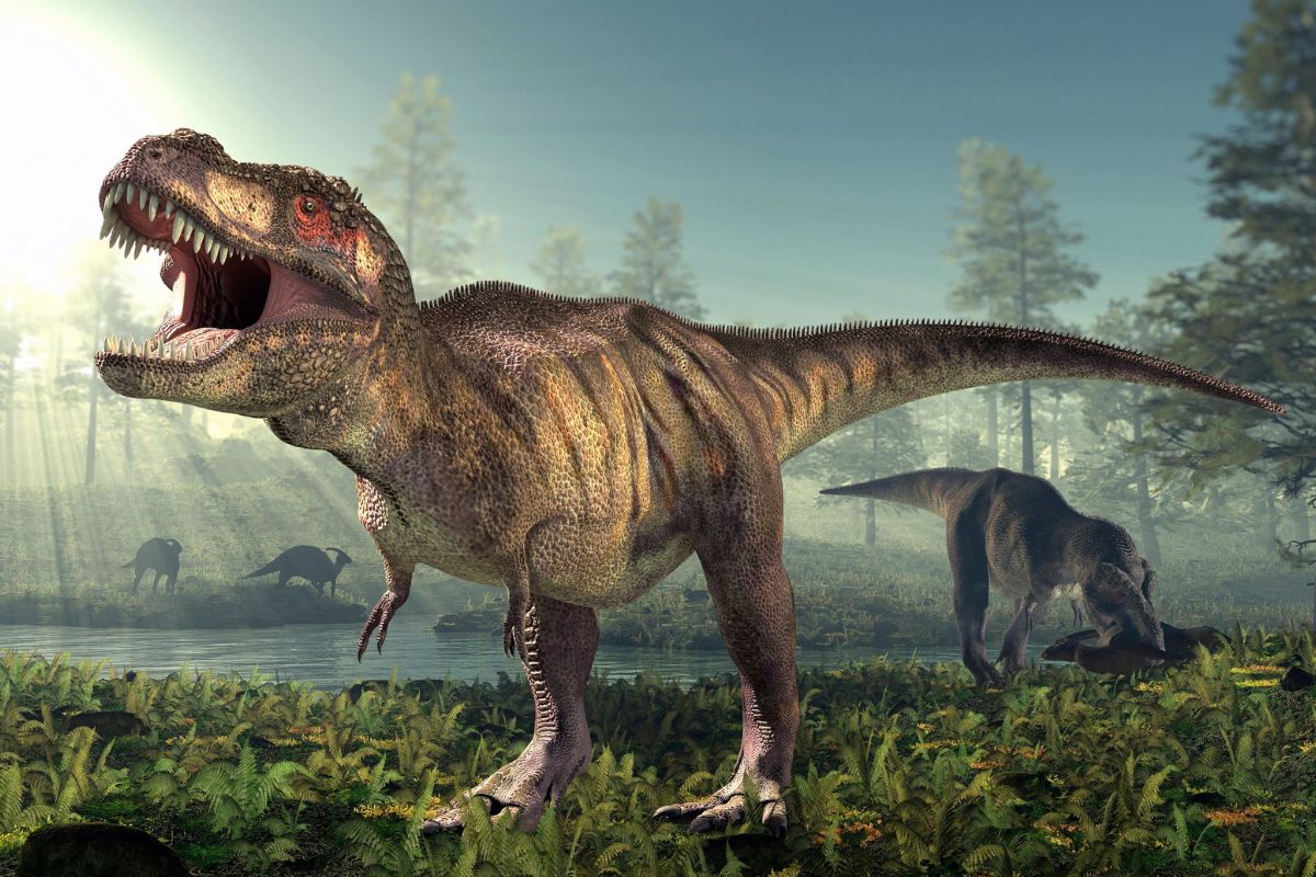 Tout savoir sur le T-Rex, le roi des dinosaures